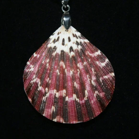 Red Sea Glass set with Pecten Sea Shell - Picture 4 of 6